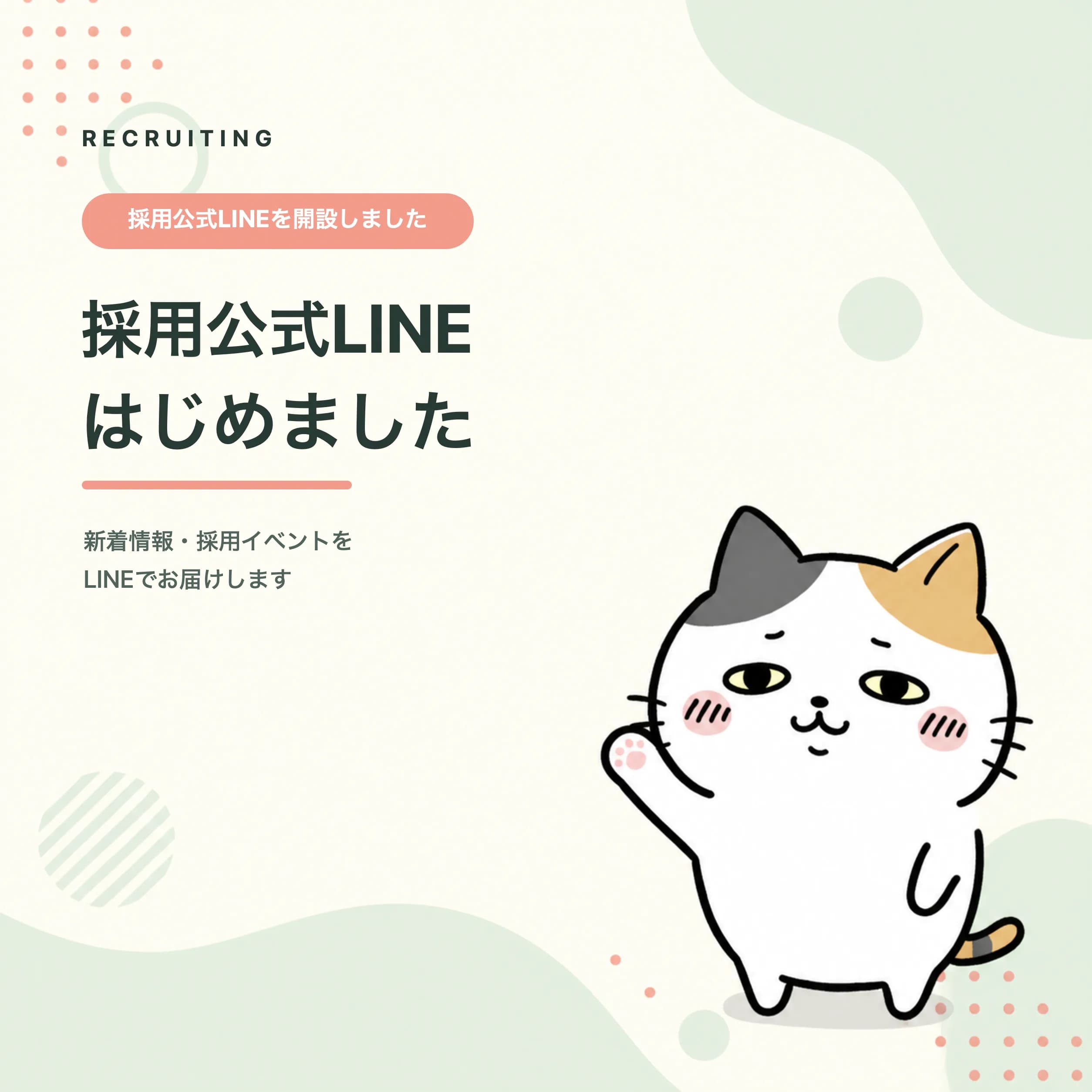 採用公式LINEの開設を案内する三毛猫のイラスト